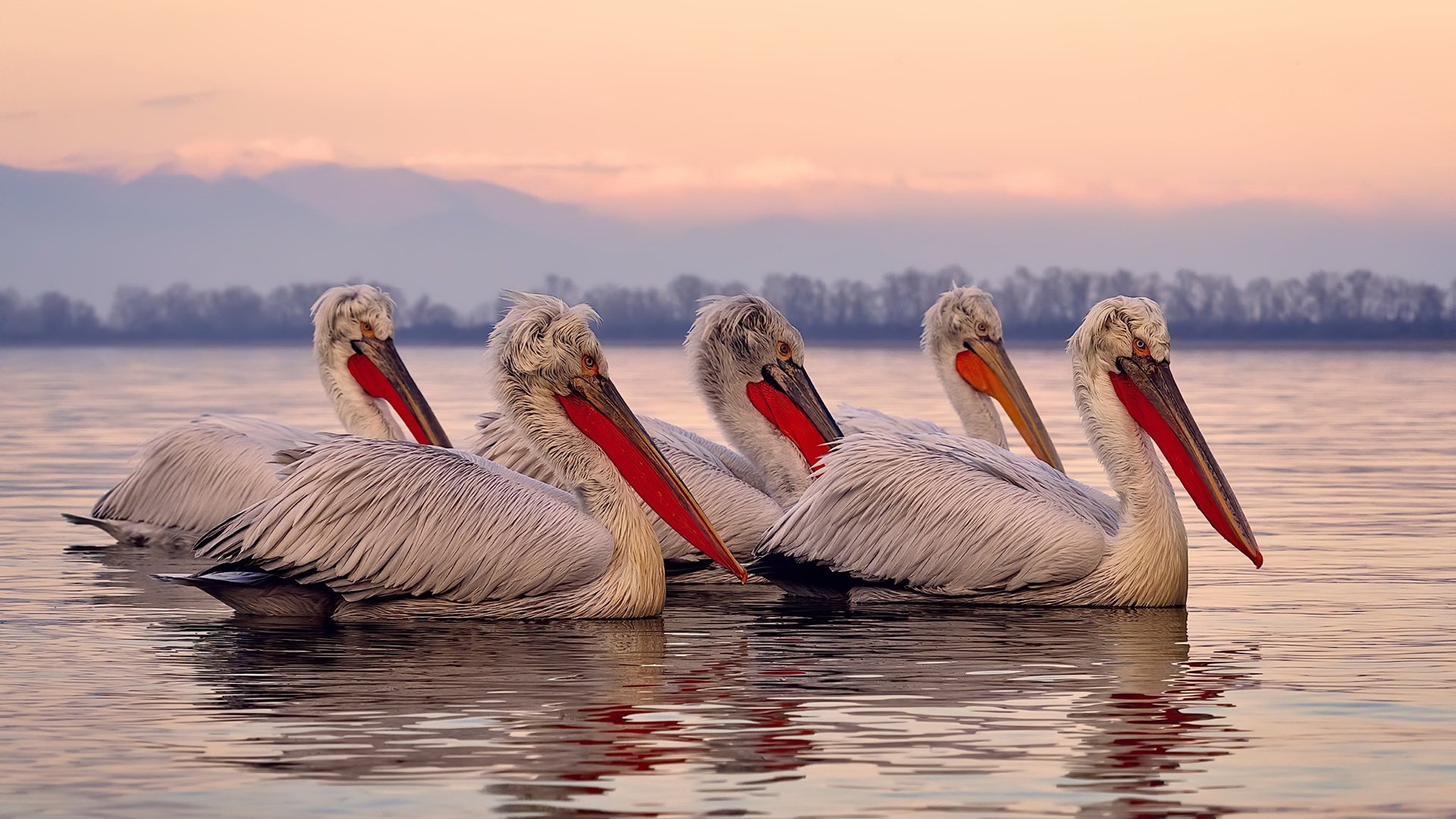 街头滑板文化节潮酷启幕运动艺术融合，街头滑板比赛规则